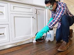 Best Residential Pest Control  in Glenwood City, WI