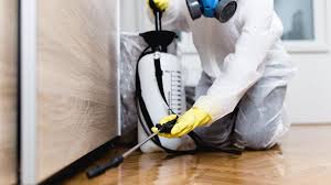 Best Bed Bug Extermination  in Glenwood City, WI